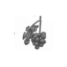 Виноград H.200 L.140 малый (31/07)